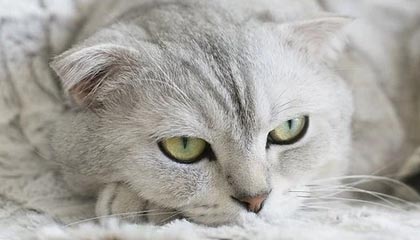 爱游戏入口-星空体育官网——打造专属您的极致体育娱乐体验