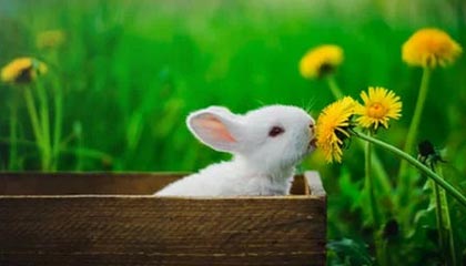 爱游戏平台-开云娱乐：把娱乐带进日常的心动体验